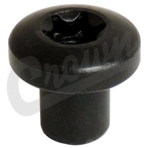 Door Hinge Nut