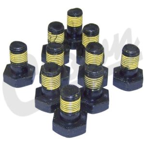 Ring Gear Bolt Kit