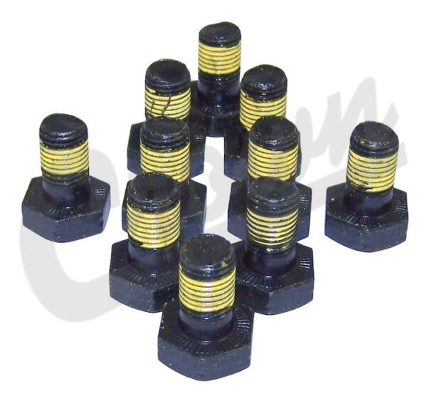 Ring Gear Bolt Kit