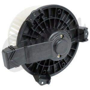 Blower Motor