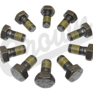 Ring Gear Bolt Kit