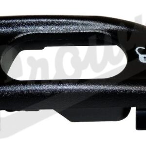 Door Lock Switch Bezel