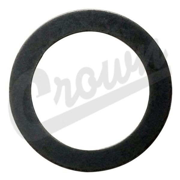Pinion Washer