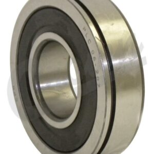 Input Shaft Bearing