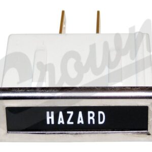 Dash Light (Hazard)