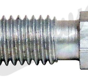 Bleeder Screw
