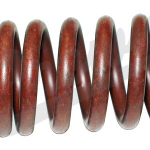 Valve Spring (Intake)