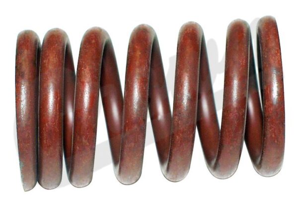 Valve Spring (Intake)