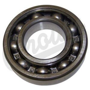 Input Shaft Bearing