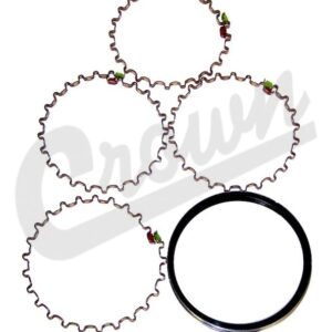 Piston Ring Set (.010)