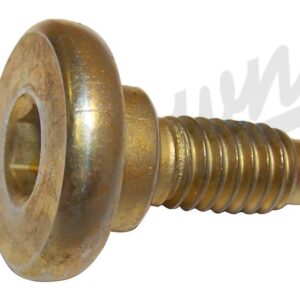Brake Caliper Screw