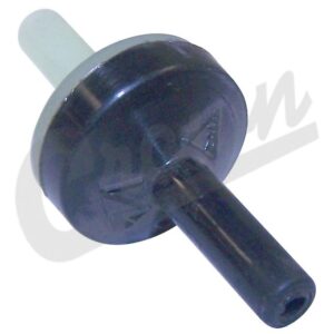 Check Valve