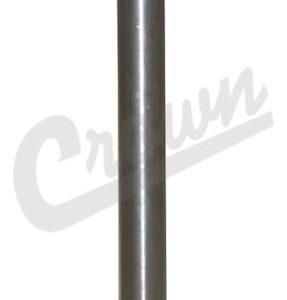 Intake Valve