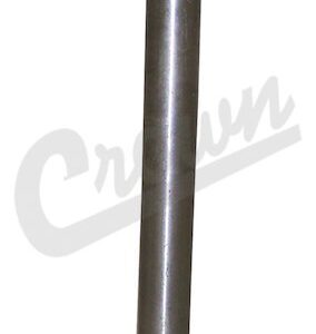 Intake Valve