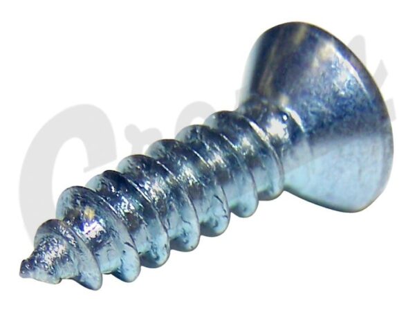 Screw (Side Mirror Mounting)
