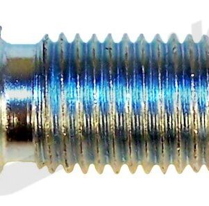 Bleeder Screw