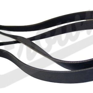 Serpentine Belt