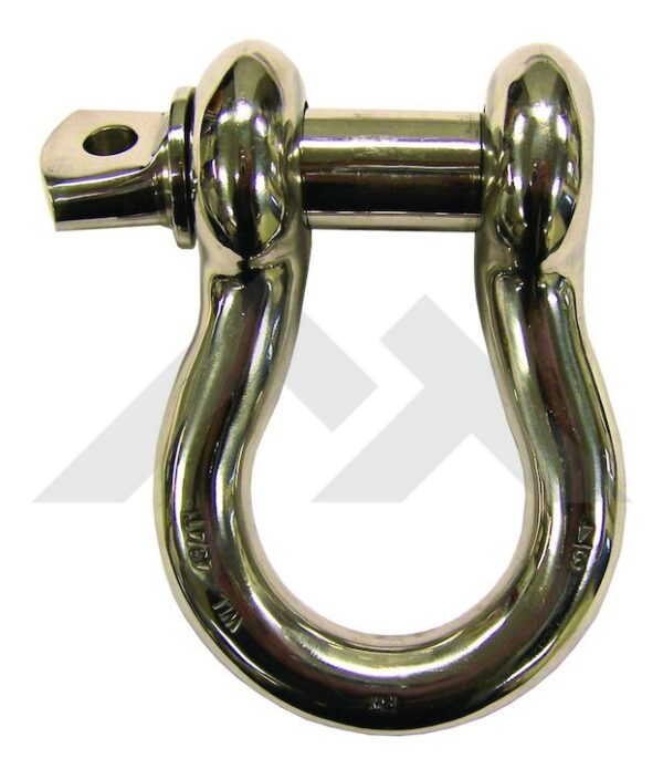 D-Ring (Stainless)